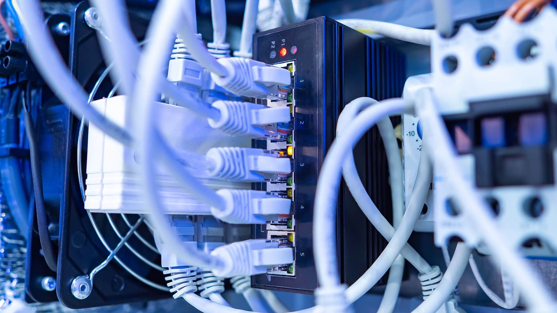 Nahaufnahme eines Netzwerkschalters mit angeschlossenen Kabeln