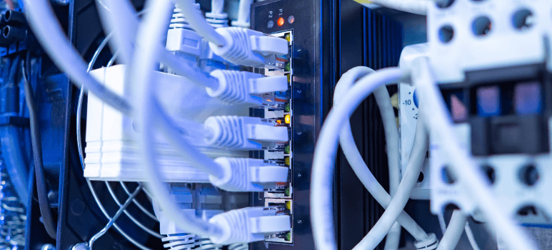 Nahaufnahme eines Netzwerkschalters mit angeschlossenen Kabeln